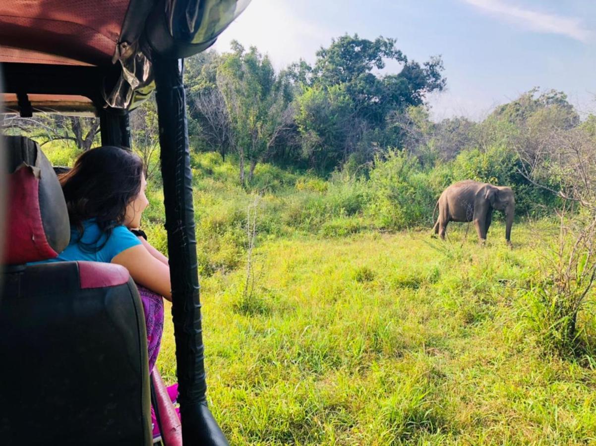 Sigiri Liya Rest Hotel Sigiriya Ngoại thất bức ảnh